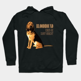 Bloodhound Hoodie